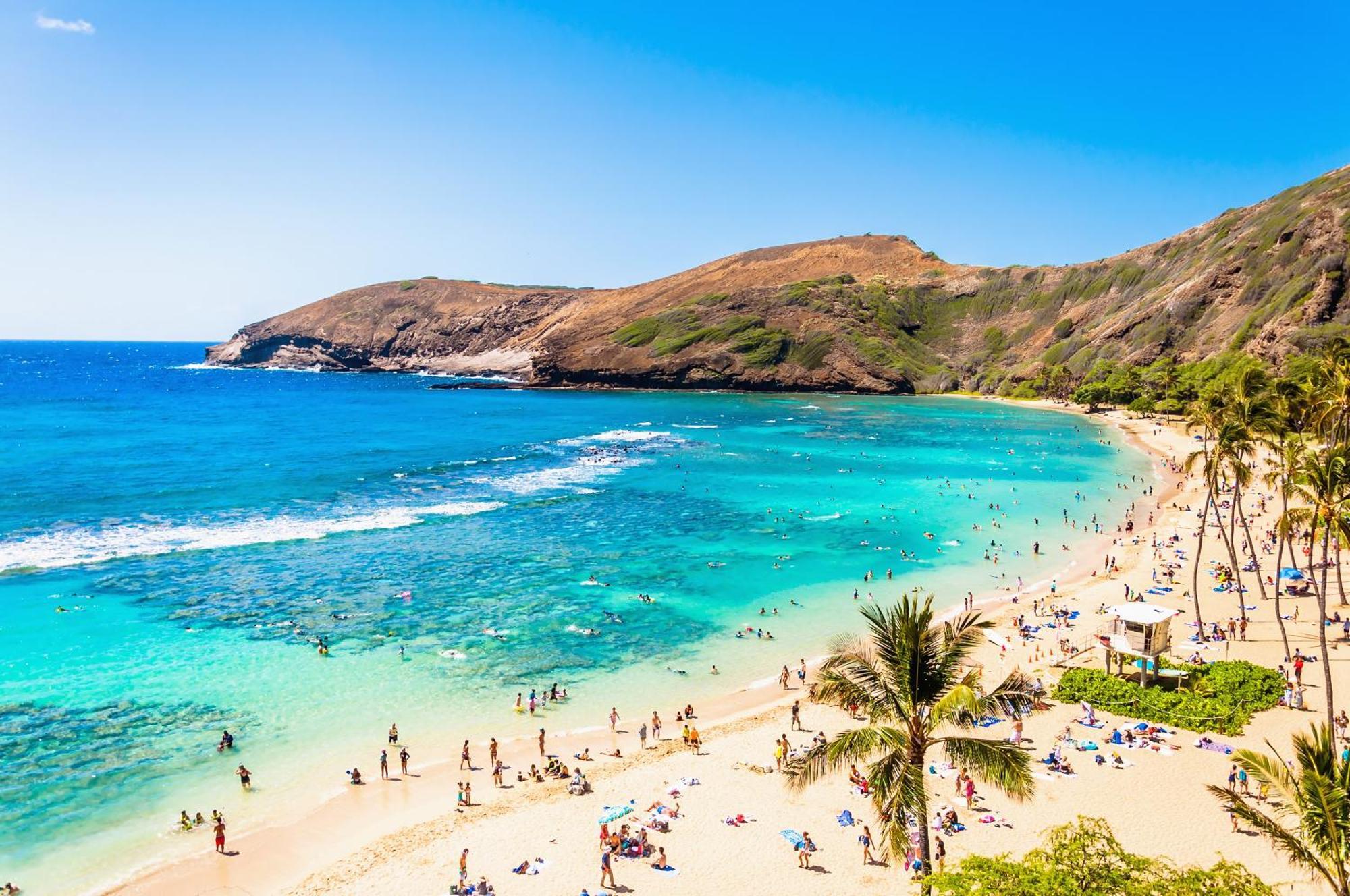 Aloha Vibes With Ocean Views, Near Beach & Parking! Χονολουλού Εξωτερικό φωτογραφία